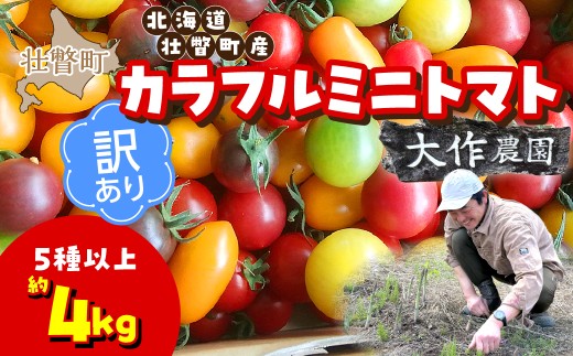 【2027年7月より発送】【訳あり】カラフルミニトマト約4kg(5種以上) 大作農園 北海道壮瞥町 【 ふるさと納税 人気 おすすめ ランキング 訳あり ミニトマト ミニトマトセット 北海道産トマト トマト とまと リコピン 完熟 高糖度 食べ比べ 不揃い 家庭用 野菜 新鮮野菜 産地直送 完熟トマト カラフルトマト トマトベリー アイコ 大作農園 北海道 壮瞥町 送料無料 】 SBTR015