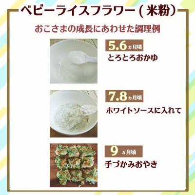 ふるさと納税 関市 グルテンフリー ベビーライスフード 詰合せ 7袋 (プレーン、ほうれん草、トマト、米粉)M5 |  | 03