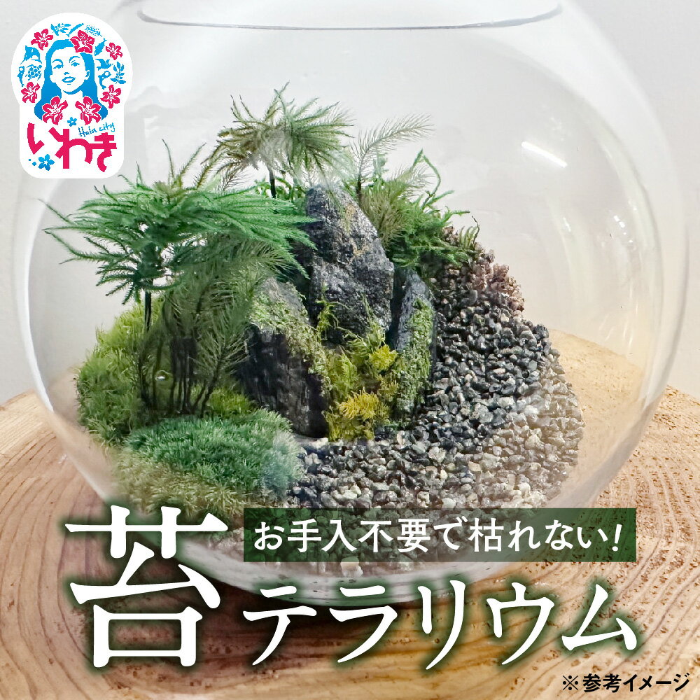 【ふるさと納税】苔モスチャーテラリウム | 苔 テラリウム モスチャー 観葉植物 インテリア ガラス容器 おしゃれ 小型 癒し グリーン 観賞用 室内緑化 ミニ植物 手入れ簡単 長持ち ギフト プレゼント 新築祝い 開店祝い 人気 送料無料 | DE024