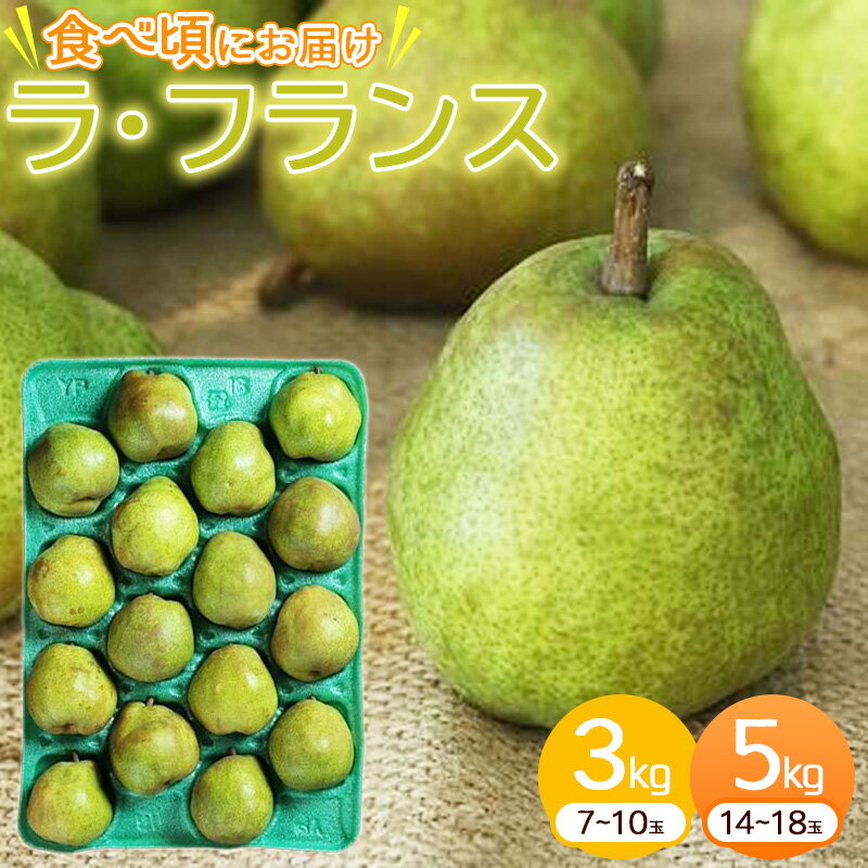 【ふるさと納税】【楽天限定】《先行予約》山形県産 ラ・フランス 3kg 5kg 令和8年産【2026年11月下旬頃から12月上旬頃発送予定】 お取り寄せ 特産 産地直送 果物 フルーツ 新鮮 季節 冬 デザート おやつ 東北 2026年産 3キロ 5キロ ふるさと納税