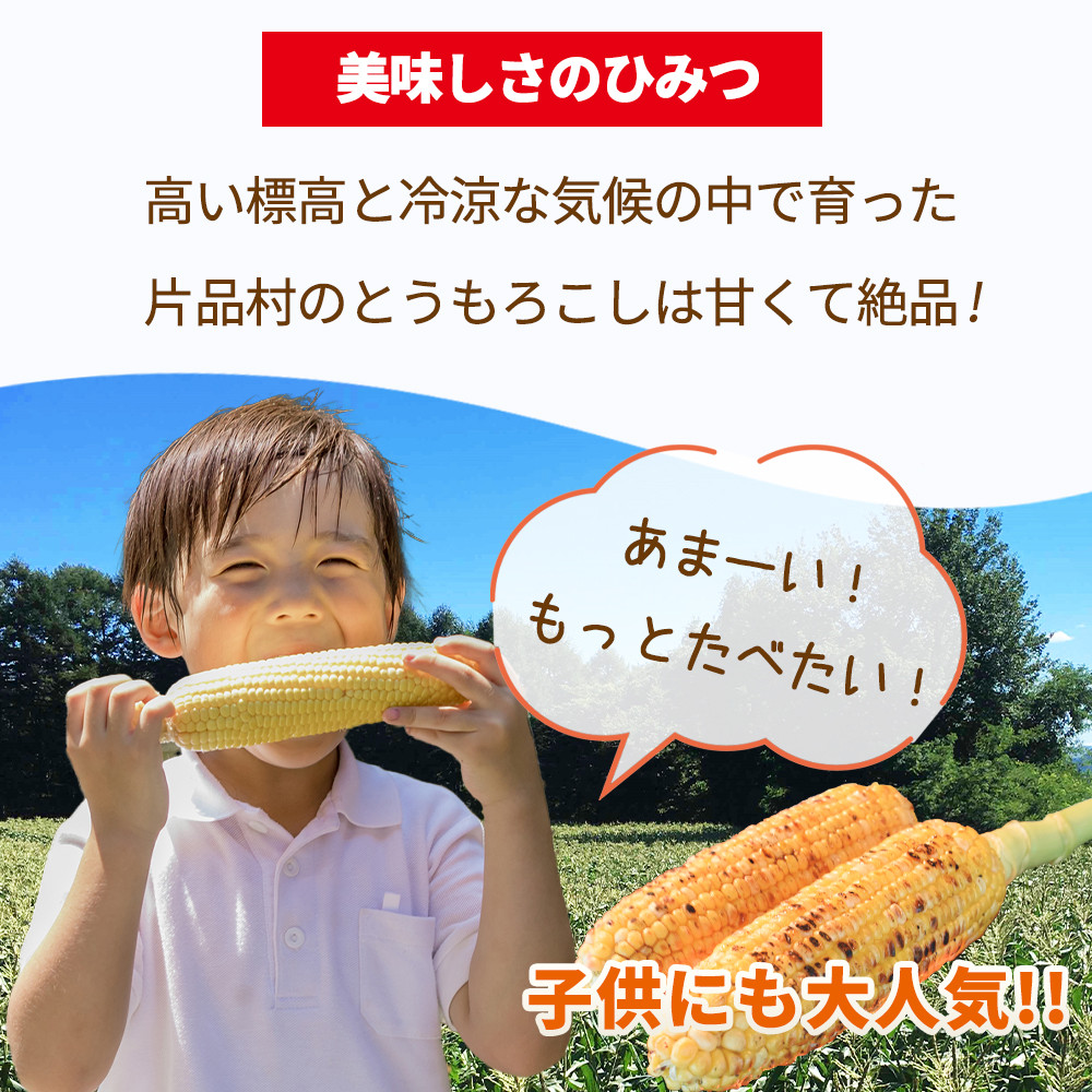甘みたっぷりのともろこしは茹でても美味しく召し上がれます。