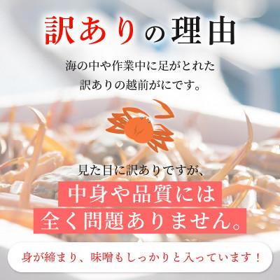 ふるさと納税 越前町 【訳あり】≪浜茹で≫ 越前がに 600〜900g前後 × 2杯【12月発送分】 |  | 01