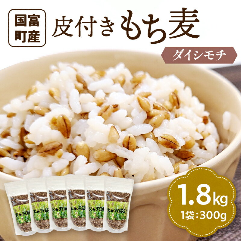【ふるさと納税】皮付きもち麦(ダイシモチ）300g×6袋