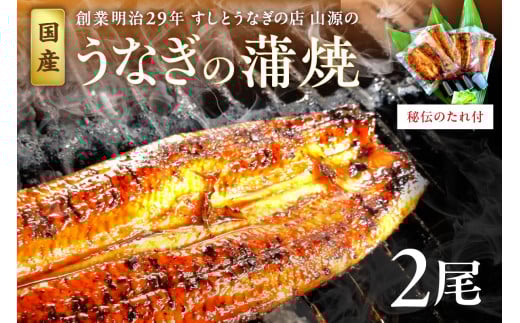 120年守り抜いた秘伝のたれで焼いた国産うなぎの蒲焼2尾(4人前)セット 国産 うなぎ 2尾 魚介類 魚貝類 土用の丑の日 【104_0326】