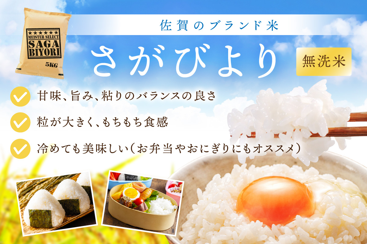 【11月から順次発送】 令和6年産 【定期便】《無洗米》さがびより ５kg×６回B703