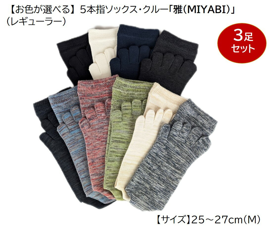 【ふるさと納税】5本指ソックス・クルー(レギュラー)「雅(MIYABI)」25-27cm(M) 3足セット [2851]