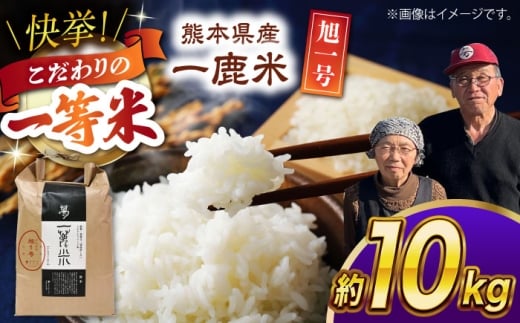 【先行予約】 【天日塩を使用】一鹿米 旭一号 米 白米 10kg【株式会社 夢アグリ】 [ZCL016]