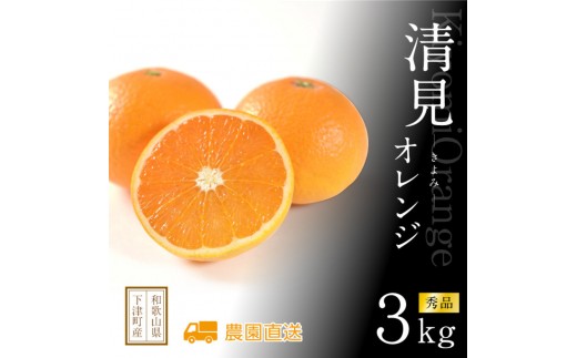 清見オレンジ 赤秀 3kg 和歌山県海南市まごころ産直みかんより直送 ｜きよみ 清美 清見 オレンジ 和歌山県 海南市産 完熟 サイズお任せ