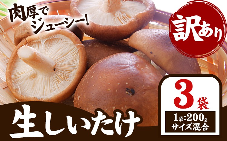 「訳あり」生しいたけ　200g×3袋(サイズ混合)　【配送不可地域あり】 離島配送不可 《30日以内に出荷予定(土日祝除く)》 ---sanagouchi_izs_15_3p---