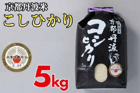 【9月より新米】米 京都丹波米こしひかり5kg 白米 米◇◆◇ 食味鑑定士厳選 京都丹波産 ふるさと納税米 ※精米したてをお届け ※北海道・沖縄・離島への配送不可