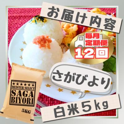 ふるさと納税 江北町 【毎月定期便】さがびより白米5kg(江北町)全12回 |  | 02