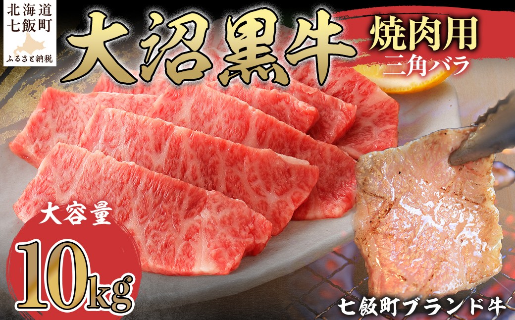 
                  【北海道ブランド牛】大沼黒牛焼き肉用（三角バラ10kg） 【ふるさと納税 人気 おすすめ ランキング 北海道ブランド牛 大沼黒牛 黒毛和牛 リブロース 冷凍 焼肉 おいしい 北海道 七飯町】 NAM045
                