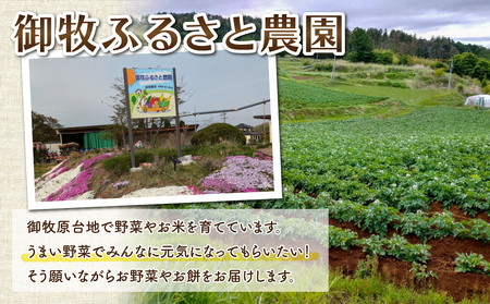 【先行受付2026年発送】東御市産とうもろこし8本｜フルーツみたいなイエロースイートコーン(ゴールドラッシュ)　※2026年7月中旬頃～9月上旬頃お届け予定※着日指定不可