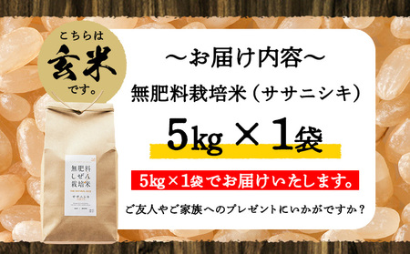 令和5年産 無肥料栽培ササニシキ 玄米 5kg(5kg×1袋) 河上農園 岡山県矢掛町《30日以内に出荷予定(土日祝除く)》 農薬・化学肥料不使用 お米 コメ こめ