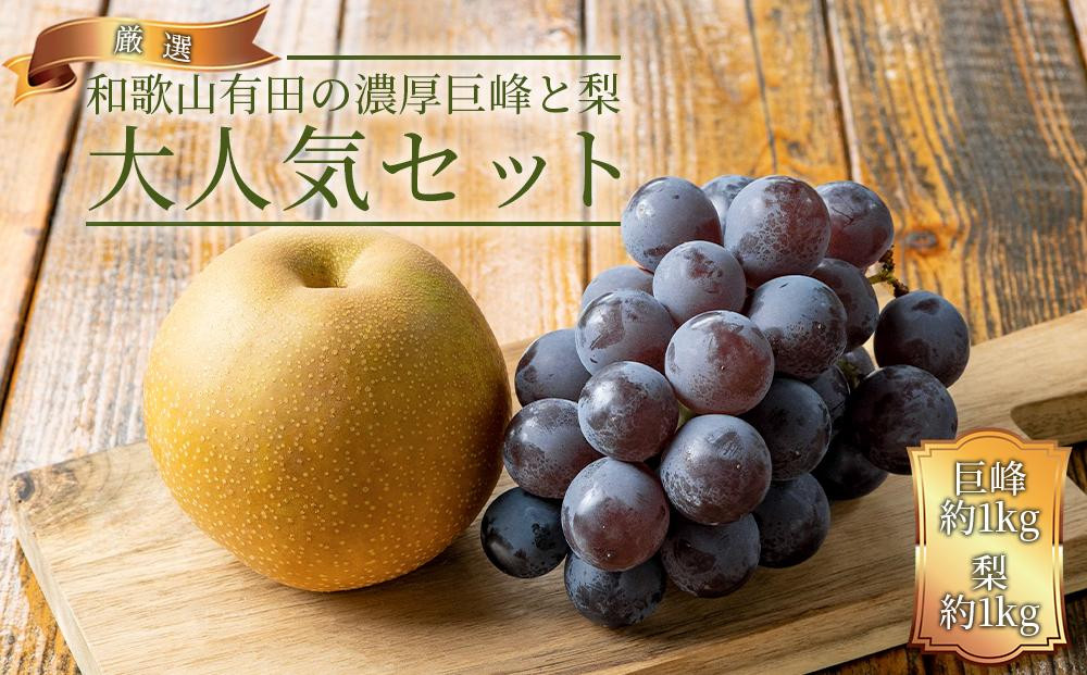 農家直送 和歌山有田の朝採り 巨峰 と 梨 大人気セット［2026年・先行予約］