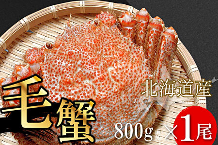 ボイル毛蟹800g前後×1尾 F-56010