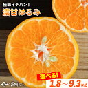 【ふるさと納税】極味イチバン！濃甘はるみ 選べる内容量 1.8kg 2.7kg 9.3kg 黒潮フルーツファーム《2月上旬-3月末頃出荷》和歌山県 紀の川市 みかん はるみ