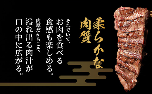 ※12月寄附限定 タン先炭火焼付※【 厚切り 】牛 ハラミステーキ【500g】 焼肉 ハラミ 焼き肉 はらみ 塩味 牛肉 肉 冷凍 小分け パック キャンプ バーベキュー 067-0678