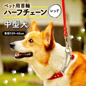 ペット用首輪 ハーフチェーン 中型犬用 レッド 首回り39-45cm ペット 犬 愛犬 ワンちゃん 中型犬 首輪 リード 本革 レザー 牛革 牛 散歩 さんぽ ウォーキング 健康 おしゃれ 消耗品 大阪府 松原市