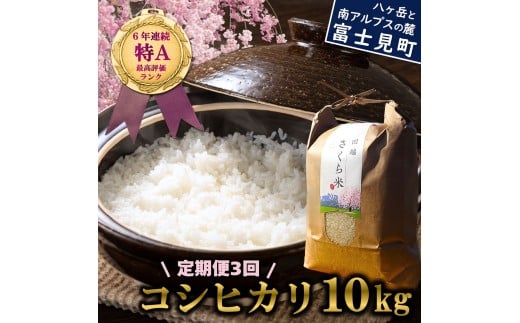 【定期便 3ヶ月】 信州 長野県産 特A こしひかり 10kg 田端さくら米 コシヒカリ 新米 米 10kg 令和7年産