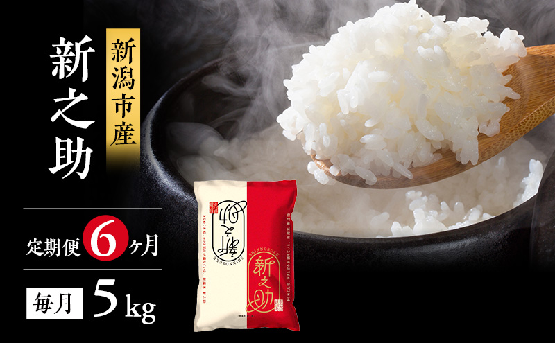 米 6ヶ月定期便  新潟 新之助 5kg 白米 精米 １等米 精米仕立てを発送致します 新潟県産 定期便 お米 5kg  こめ コメ ブランド米 6ヶ月 半年 6回 お楽しみ