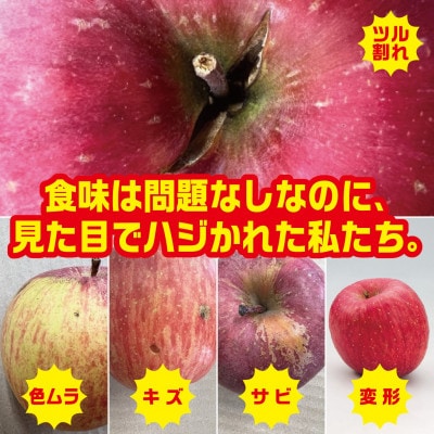 【2026年9月末〜発送開始】訳ありりんご　早生ふじ　約5Kg(12〜25個入)【配送不可地域：離島】【1618832】