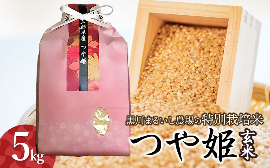 【令和7年産先行予約】 黒川まるいし農場の特別栽培米　つや姫　玄米　5kg 　山形県鶴岡市産　K-742