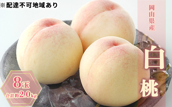 桃 2027年 先行予約 白桃 8玉 合計約2.0kg もも モモ 岡山県産 国産 フルーツ 果物 ギフト