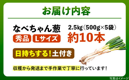 【2025年11月発送開始】焼いてそのまま美味しい！なべちゃん葱（土付き）秀品 Lサイズ2.5㎏（約10本） ねぎ ネギ 島根県雲南市/山さんファーム[AICO004]