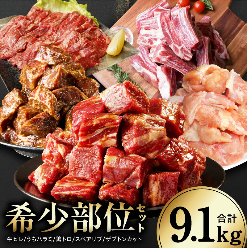 【ふるさと納税】希少部位 セット 合計 9.1kg 牛ヒレ 牛うちハラミ 鶏とろ 骨付き豚肩バラ スペアリブ 牛ザブトンロース 5種 詰め合わせ 味付け 冷凍 食べ比べ ステーキ 焼肉 BBQ バーベキュー アウトドア キャンプ ギフト用 発送月 大阪府 泉佐野市 送料無料 肉の泉佐野
