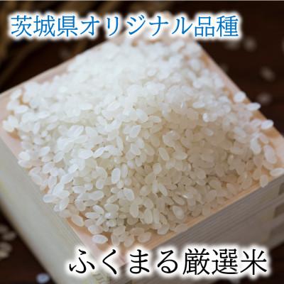 ふるさと納税 かすみがうら市 かすみがうら市産　『ふくまる厳選米』　　　　300g×10個 |  | 01