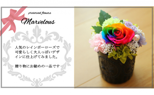 
[№5649-0127]レインボーローズアレンジ　Happy Rose Marvelous B
