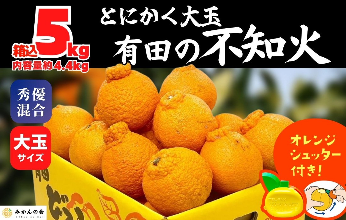 不知火 大玉 どっこいしょ 箱込 5kg (内容量約 4.4kg) 秀優混合 和歌山県産［みかんの会］ AX139