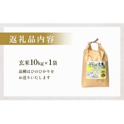 ふるさと納税 玖珠町 【令和8年産米先行受付】原さんちのお米 玄米 10kg ひのひかり 米 お米 こめ コメ |  | 03