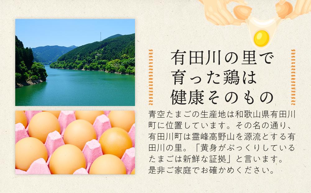 定期便 有田の青空たまご ササキのたまご Mサイズ 60個入 【3か月定期便】   AS009_イメージ5
