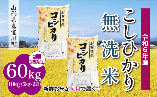 ＜配送時期が選べて便利な定期便＞ 令和6年産 真室川町 コシヒカリ  ［無洗米］ 60㎏ 定期便（10kg×6回お届け）