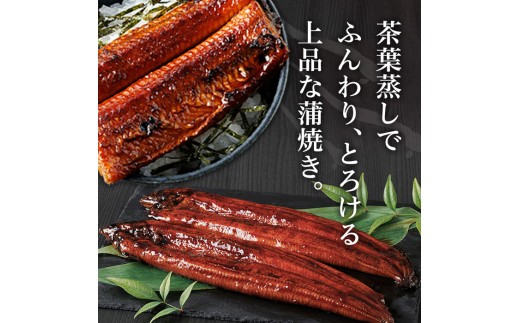 ＜訳あり・規格外＞ うなぎ 蒲焼 カット ＜約10人前＞(1P約100g・計約1kg) うなぎ 鰻 ウナギ 蒲焼 惣菜 小分け 個包装 簡易包装 レトルト 湯煎 レンジ 温めるだけ 簡単調理 ひつまぶ