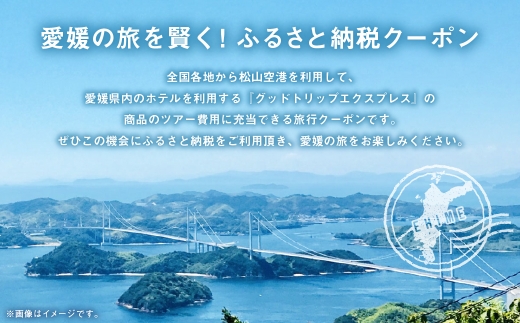 愛媛県内に泊まるふるさと納税旅行クーポン 9,000円分 旅行クーポン 旅行券 クーポン 券 旅行 観光 国内旅行 家族旅行 ひとり旅 愛媛県旅行 宿泊 カップル 夫婦 親子 家族 ファミリー （ 1
