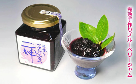 【期間限定】旬にお届け 完熟生ブルーベリー350ｇ 完熟手作りブルーベリージャム2瓶セット メルファーふたがみ【寄附受付：8月10日まで】