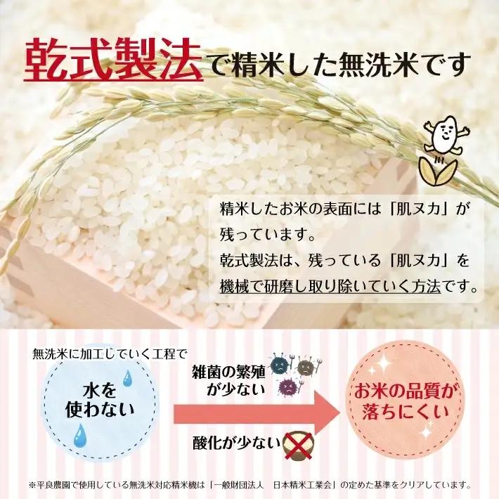 SG0141　【令和8年産 新米予約】≪5回定期便≫ ［無洗米］ひとめぼれ　5kg×5回(計25kg)　農家直送・鳥海山麓やわたの米 TR