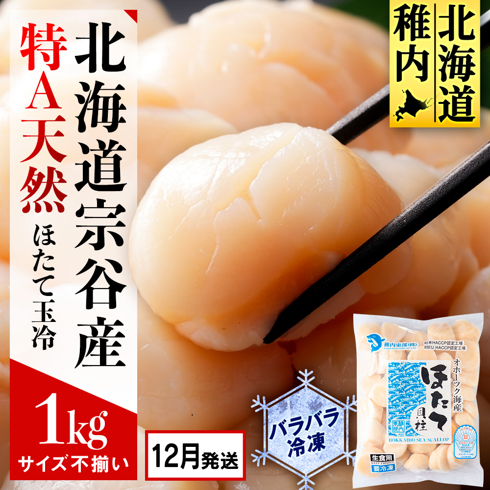 【2025年12月発送】宗谷産 天然生食用 ほたて貝柱 1kg（特A無選別）