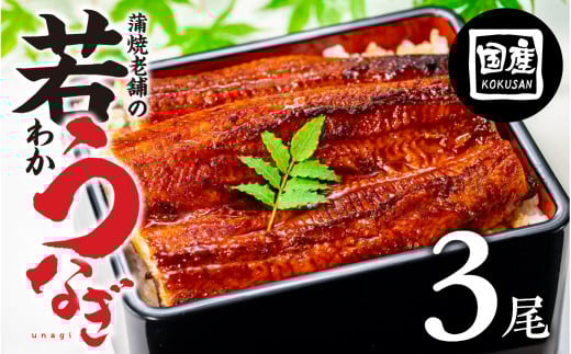 ≪年内お届け！≫老舗蒲焼本舗の若うなぎ 3尾 セット 蒲焼 ウナギ