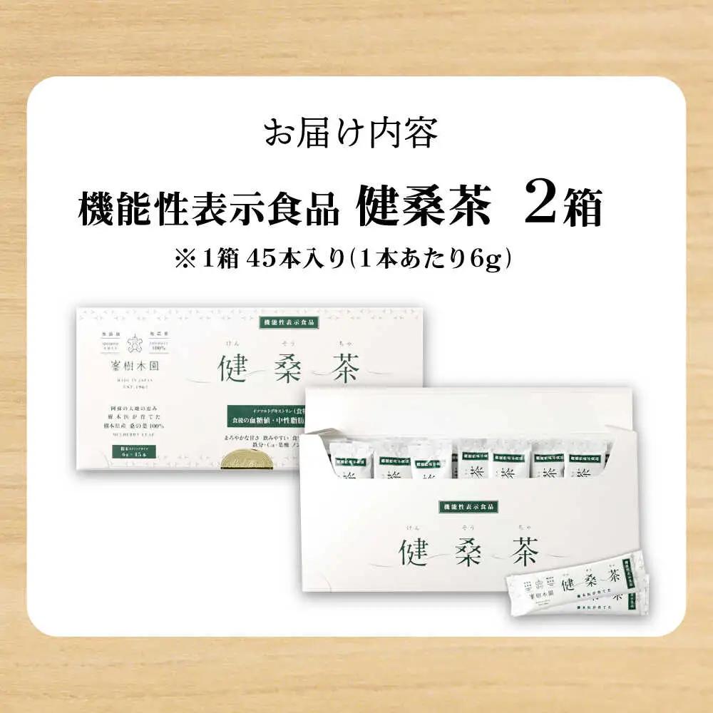 機能性表示食品 健桑茶 2箱 お茶[AYBM002]