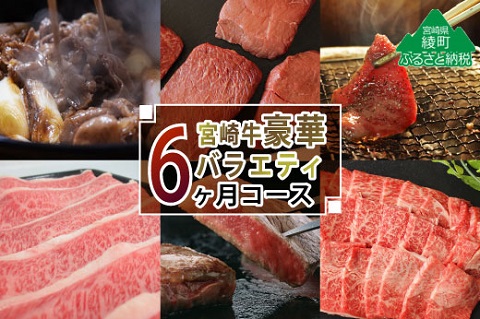 宮崎牛豪華バラエティ 計4.6kg（6か月定期便）（36-201）