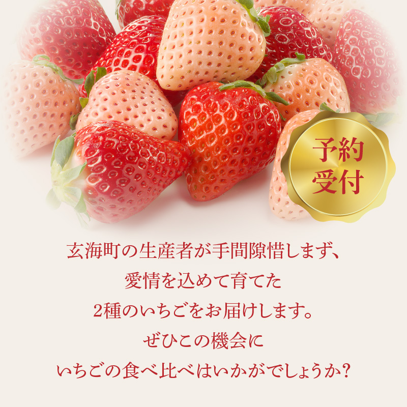 ★予約受付★杉山いちご農園 希少！白いちご「淡雪（あわゆき）」と「さがほのか」DX ギフトセット　2027年1月～5月中に順次配送 計2箱4パック