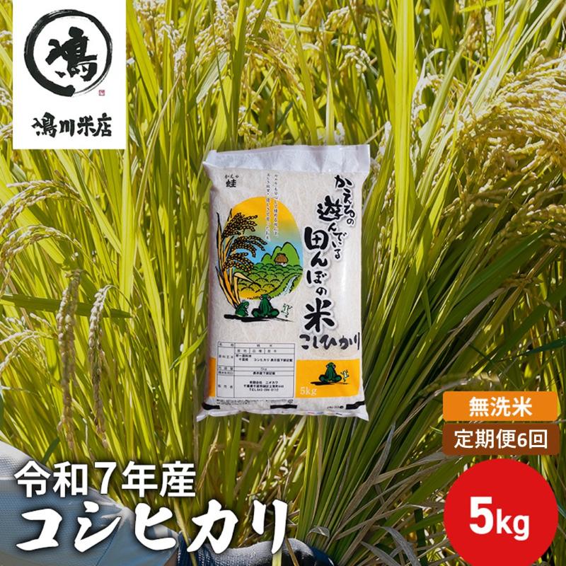 【ふるさと納税】令和7年産　6ヶ月定期便　コシヒカリ　無洗米　5kg　【定期便・ お米 精米 粘りつやつや 甘み 美味しい 新鮮 】