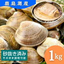 【ふるさと納税】 手間なく美味しい 《鹿島灘産はまぐり》 （1kg殻付き）