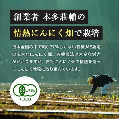 ふるさと納税 霧島市 伝統にんにく卵黄・極(1袋31粒入)【健康家族】　K-123 |  | 02