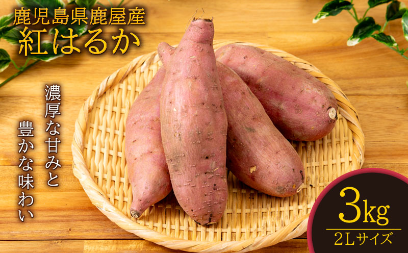 鹿児島県鹿屋産 紅はるか 生芋 2Lサイズ 3kg　KN021-043-01