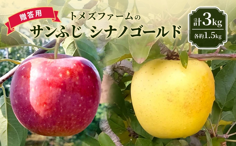 
            サンふじ・シナノゴールド詰合せ（贈答用） 各約1.5kg 計3kg　トメズファーム　りんご　長野　信州　小諸　果物　フルーツ　食べ比べ [№5915-1669]
          